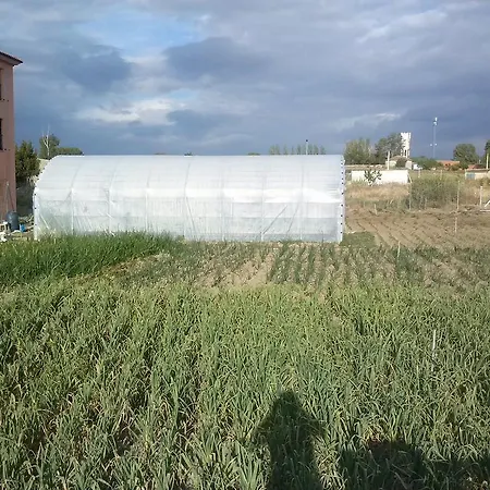 Casa Aurelia Villargordo del Cabriel