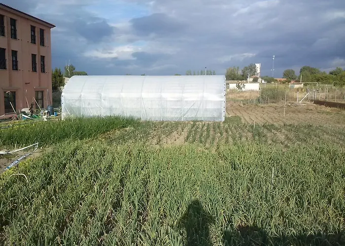 Casa Aurelia Villargordo del Cabriel